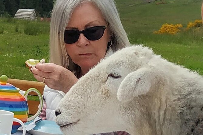 Tea with Naughty Sheep - Weather, clothing, and practical limits