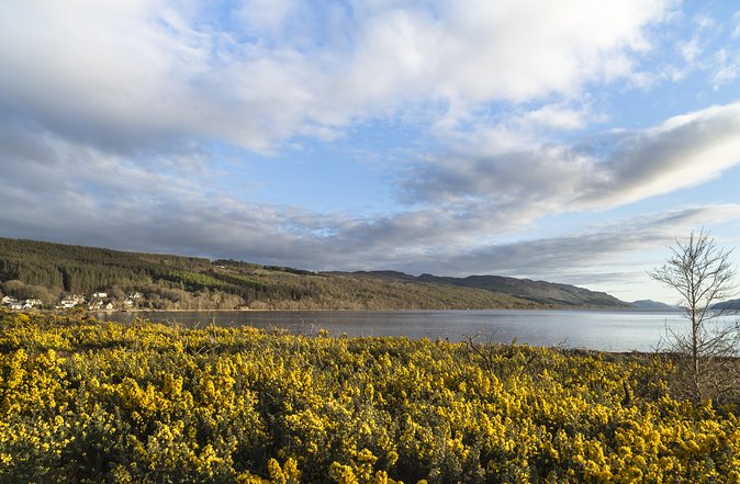 The Complete Loch Ness Experience Small-Group Day Tour from Inverness - The Falls of Foyers reward the walk down